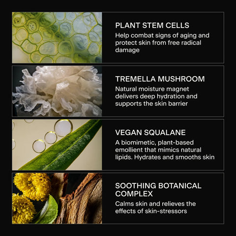 Caldera + Lab - The Base Layer